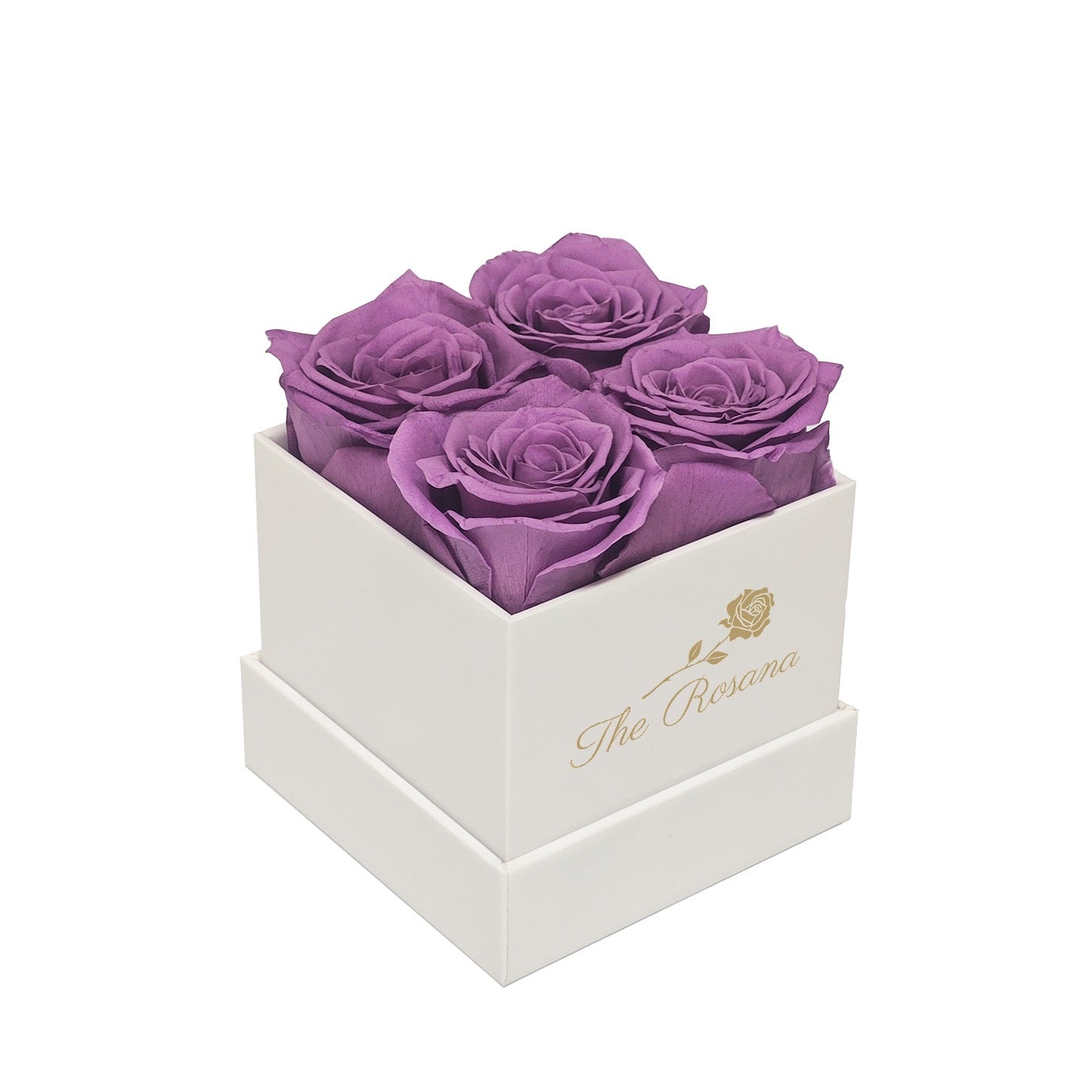 Quatre Fantastiques | Violet