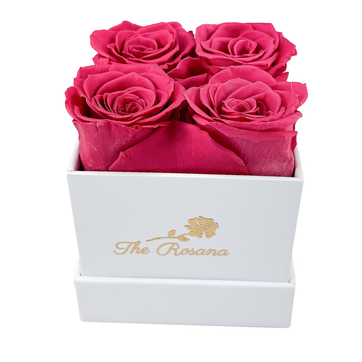 Quatre Fantastiques | Rose vif