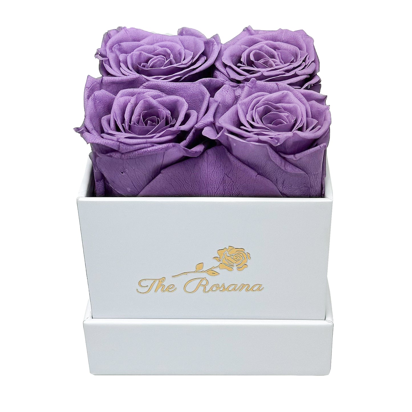 Quatre Fantastiques | Violet